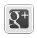 Google Plus