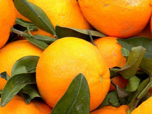 Fiesta of the Orange in Soller