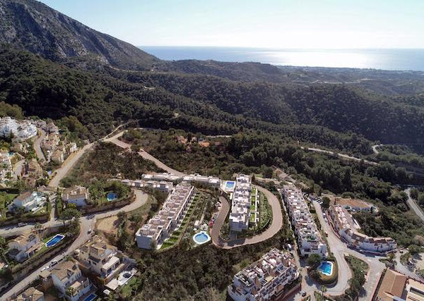 €9M Almazara Forest development will combine forest views with Spanish sunshine