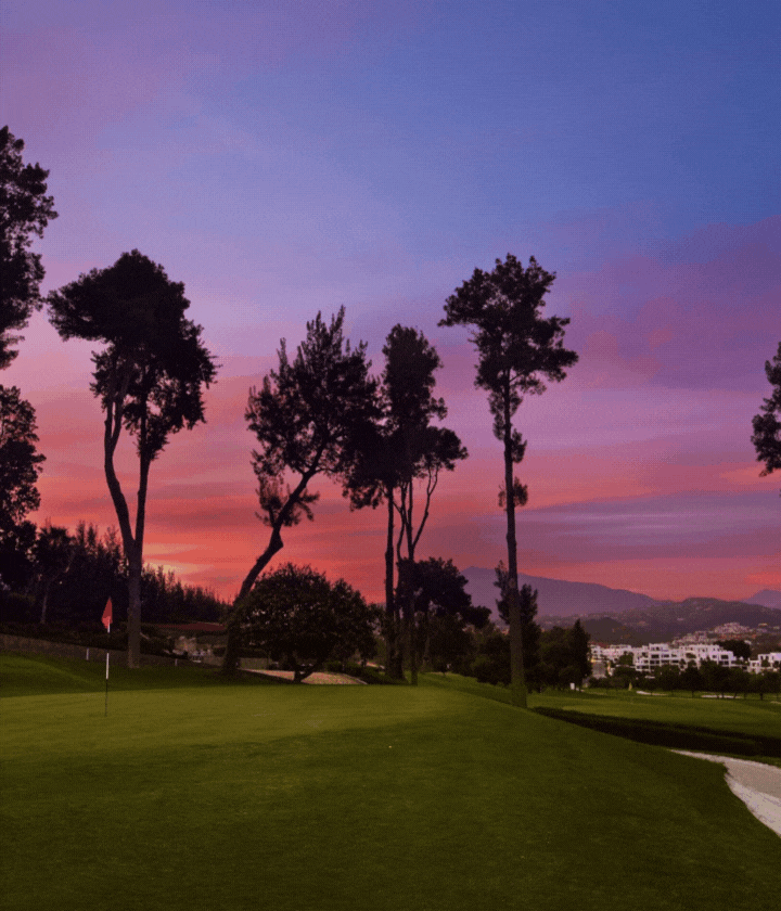 Taylor Wimpey Spain: Frohe Weinhnachten