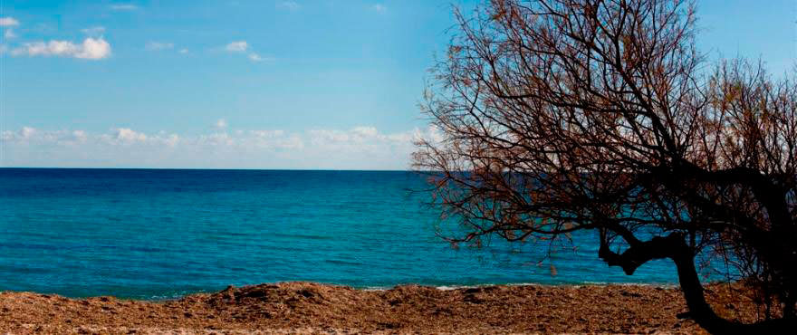Costa de los Pinos