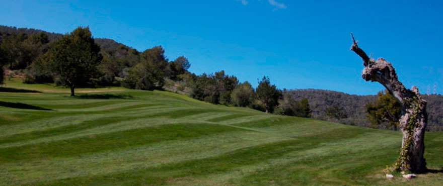 Golf course in Andratx near Camp de Mar Beach complex