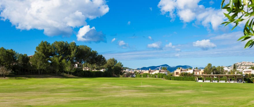 Umgebung in Immobilien zum Verkauf, Santa Ponsa, Mallorca