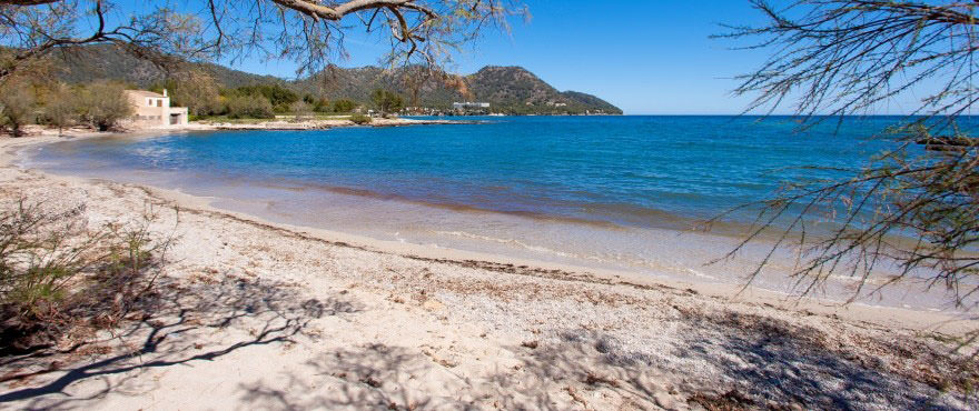 Weißer Sandstrand mit kristallklarem Wasser bei der Wohnanlage Costa Beach