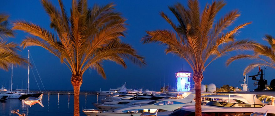 Der Hafen bei Nacht, Santa Ponsa, Calvia