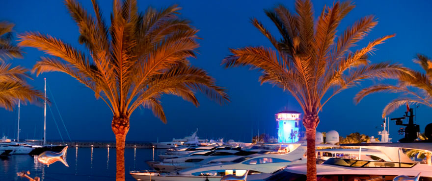 Der Hafen bei Nacht, Santa Ponsa, Calvia