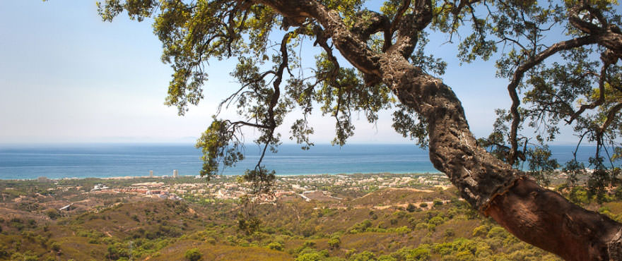 Apartments for sale, apartments in Costa del Sol, Marbella, Elviria