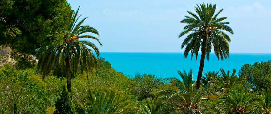 La Vila Paradis, Villajoiosa: Sea views from terrace of the apartments