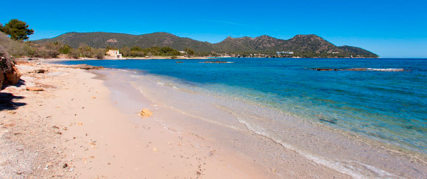 Playa Costa de los Pinos, Mallorca