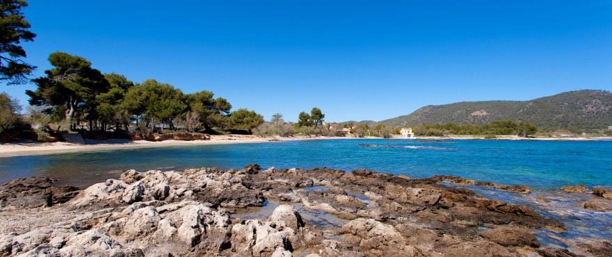 Strand am Wohnkomplex Costa Beach, Costa de los Pinos