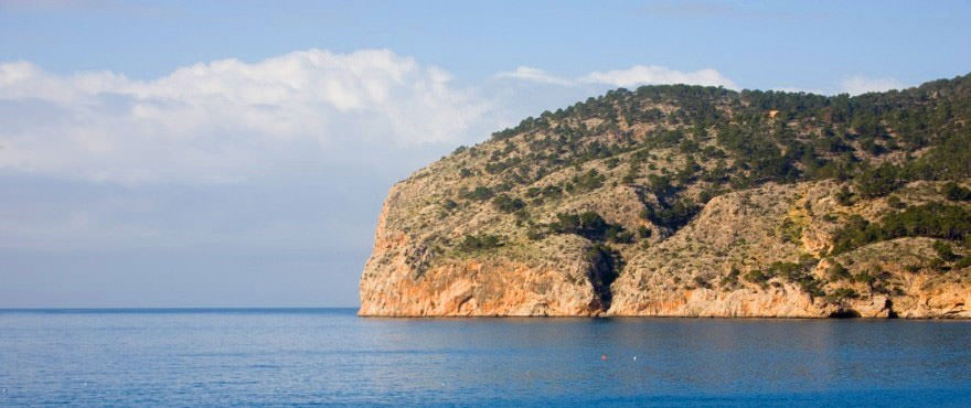 Camp de mar Mallorca