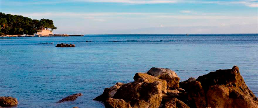 Port Vell, Mallorca