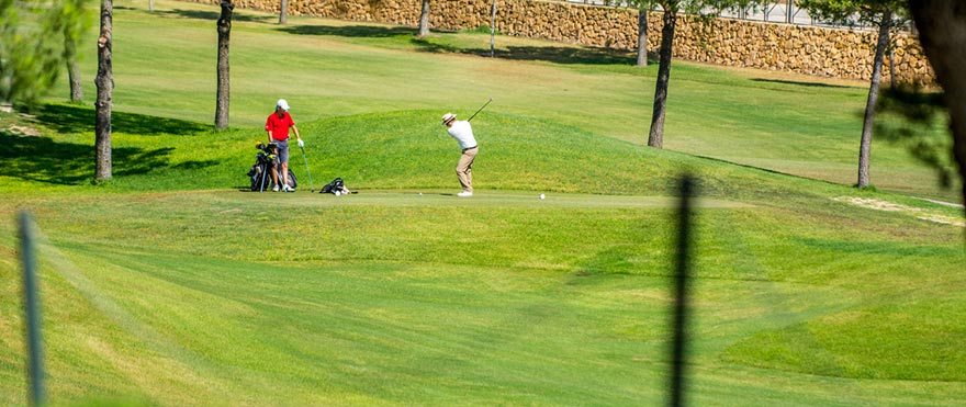 Townhouses in Elche, Alicante: Alenda Golf