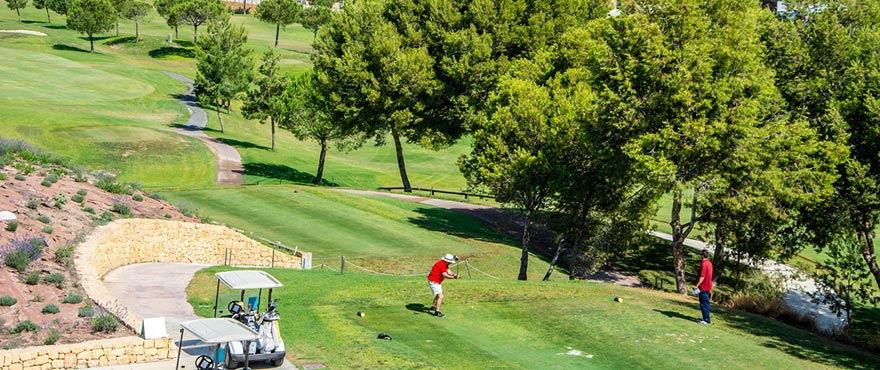 Reihenvillen in Elche, Alicante: Golfplatz