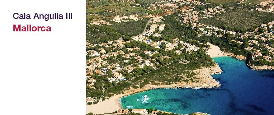 New apartments with large terraces in Cala Anguila