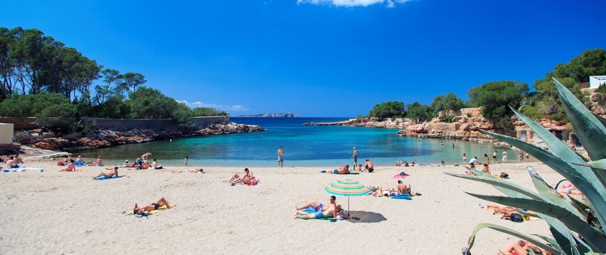 Neue Apartments direkt an der Bucht Cala Gració, Ibiza