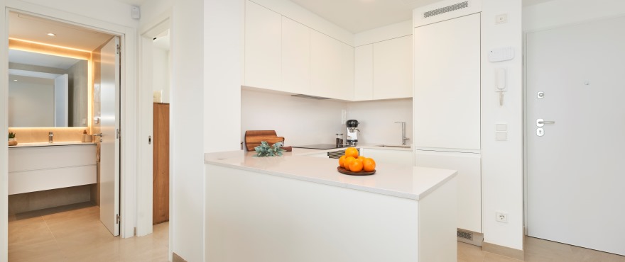 Modern kitchen in the new Compass development