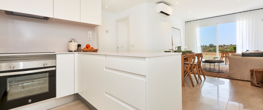 Modern kitchen in the new Compass development