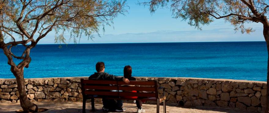 nuevos apartamentos cerca del mar en Port Verd, Mallorca