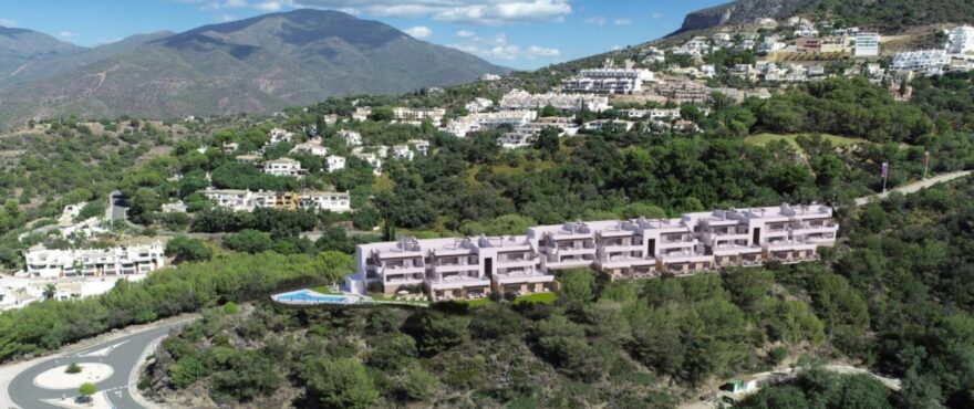 Almazara Forest, Aerial view of the area