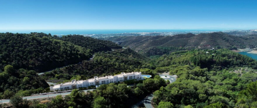 Almazara Forest, Aerial view of the area