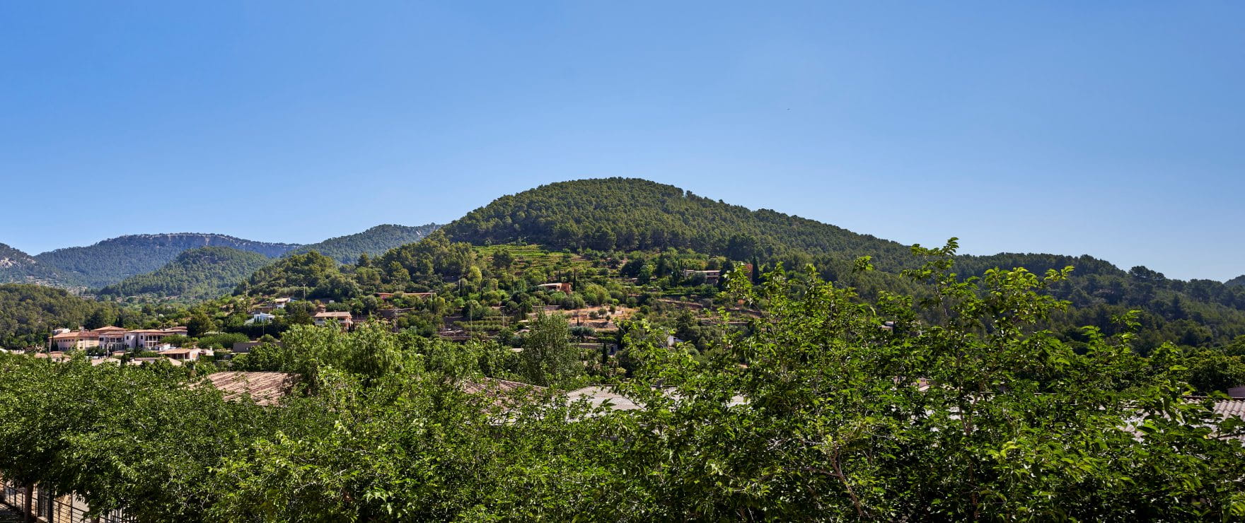 New townhouses with large terraces