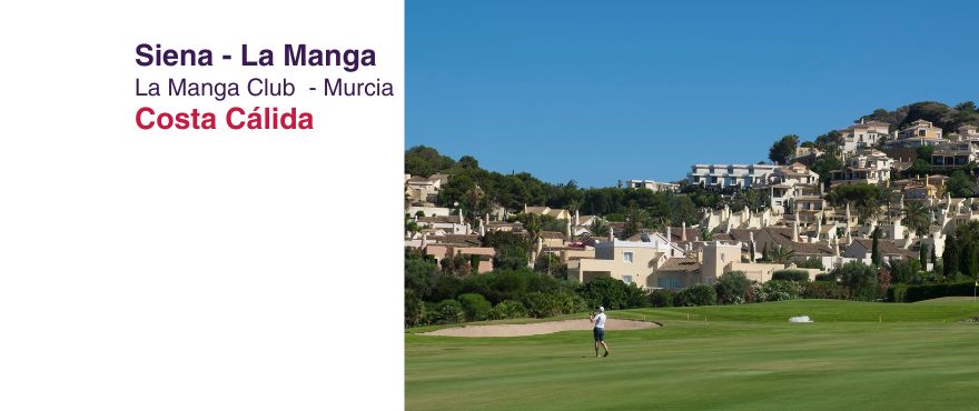 Coming Soon SIENA - la Manga 