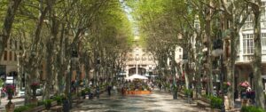 Paseo del Borne, Palma.