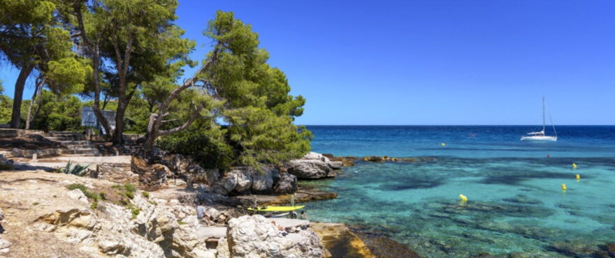 Las Palmeras: Apartments beside the sea at Font de Sa Cala.